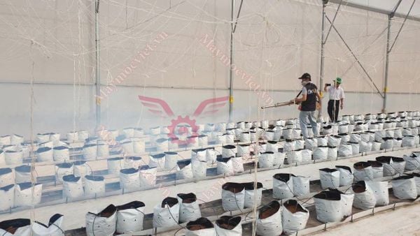 Máy phun thuốc trừ sâu dạng khói Hàn Quốc HK150 Pro