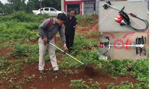 Máy sạc cỏ Yimoi SV1E44F