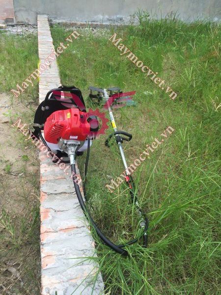 Máy sạc cỏ Yimoi SV1E44F