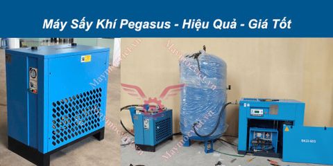 Máy sấy khí Pegasus TMMSK-45