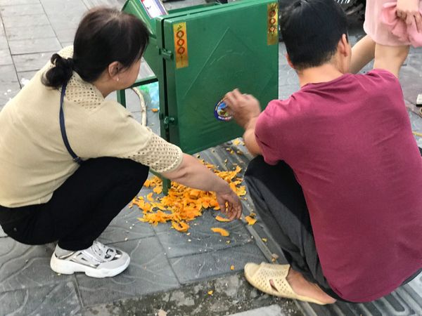 Máy thái lát bí đỏ cho dế, tắc kè ăn VVM15