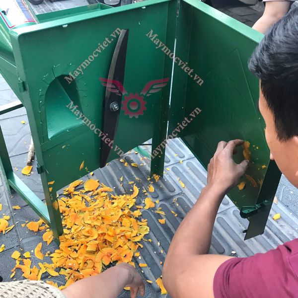 Máy thái lát bí đỏ cho dế, tắc kè ăn VVM15