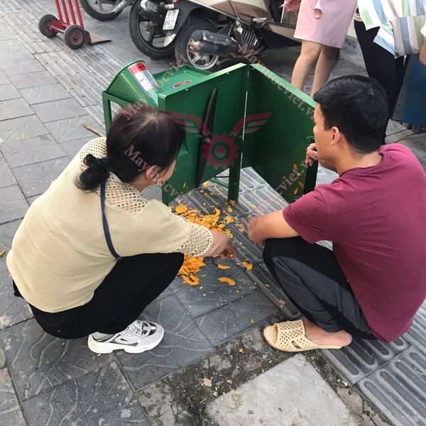 Máy thái lát bí đỏ cho dế, tắc kè ăn VVM15