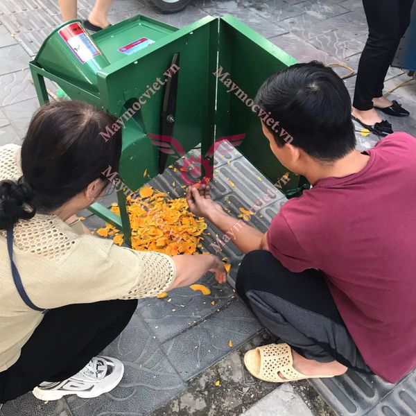 Máy thái lát bí đỏ cho dế, tắc kè ăn VVM15