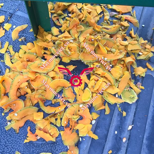 Máy thái lát bí đỏ cho dế, tắc kè ăn VVM15