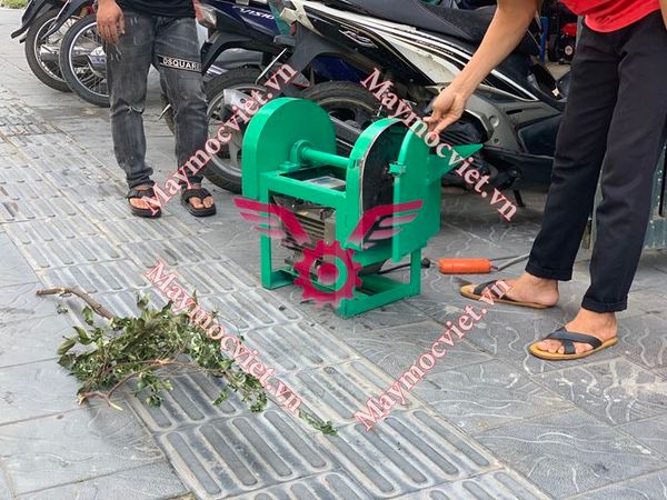 Máy thái thuốc nam, dược liệu công suất 2.2kw TT2CN