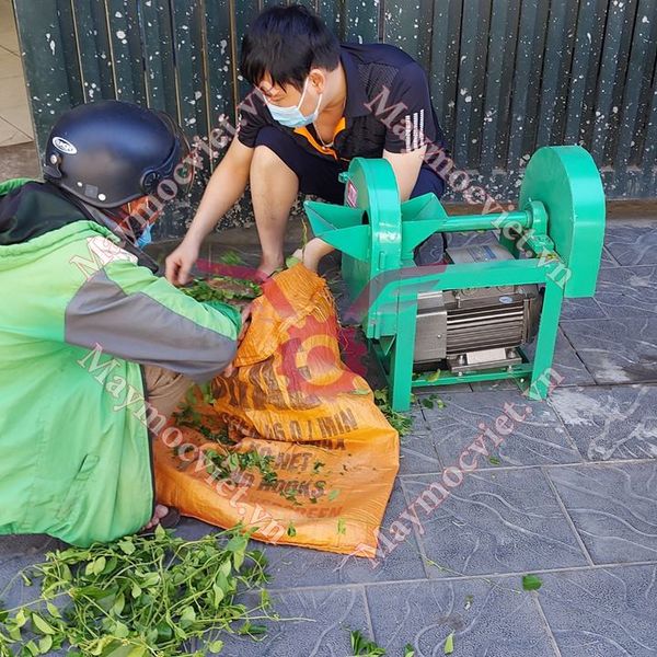 Máy thái thuốc nam, dược liệu công suất 2.2kw TT2CN