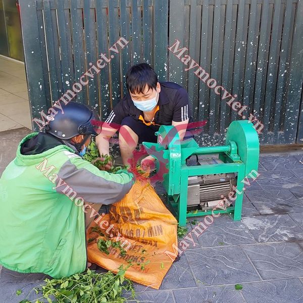 Máy thái thuốc nam, dược liệu công suất 2.2kw TT2CN