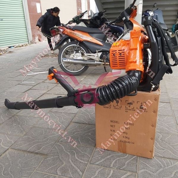 Máy thổi lá  Master MS-808