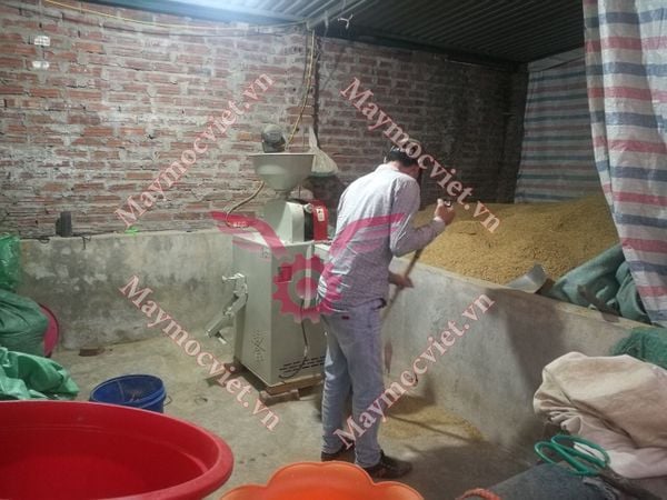 Máy xay xát lúa gạo liên hoàn TGM LH300