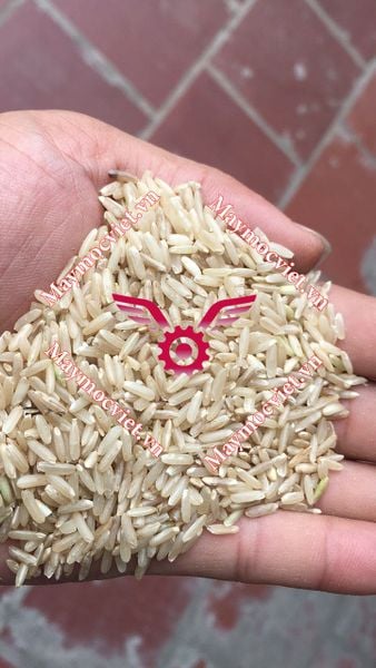 Máy xay xát gạo lứt CL-6N40