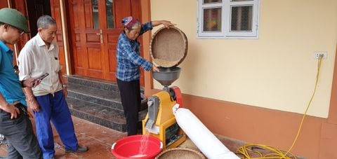 Máy xát gạo mini liên hoàn 6N40-D