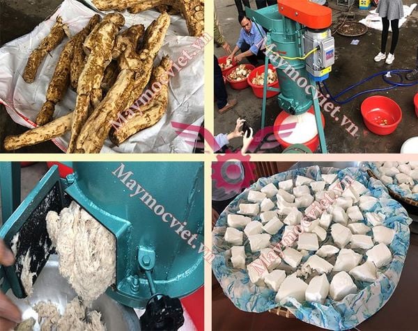 Máy xay vắt nghệ, sắn dây liên hoàn  MEVM35