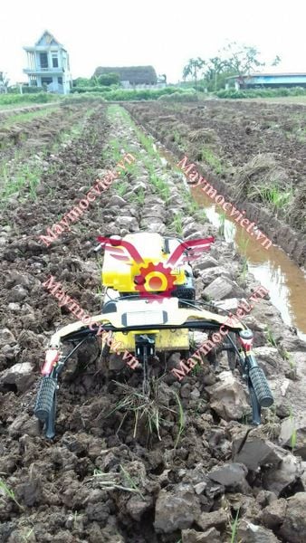 Máy xới đất đa năng AHM 5C225
