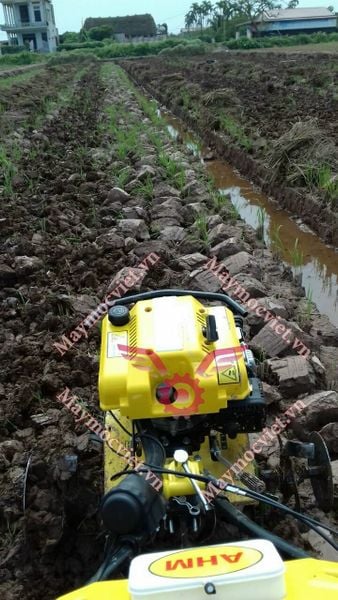 Máy xới đất đa năng AHM 5C225