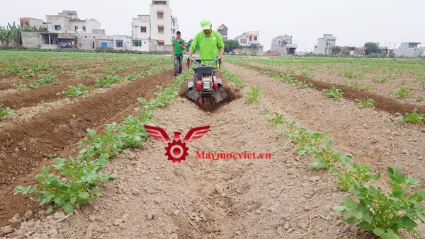 Máy vun luống Mitsubishi Nhật Bản VM655MS