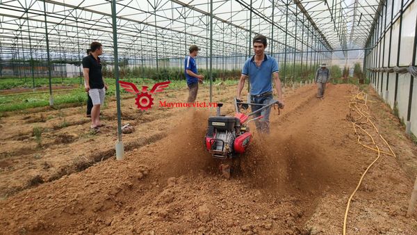 Máy vun luống Mitsubishi Nhật Bản VM655MS