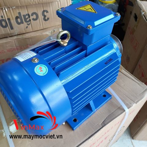 Mô tơ Toàn Phát 3 pha 11kw (15hp)
