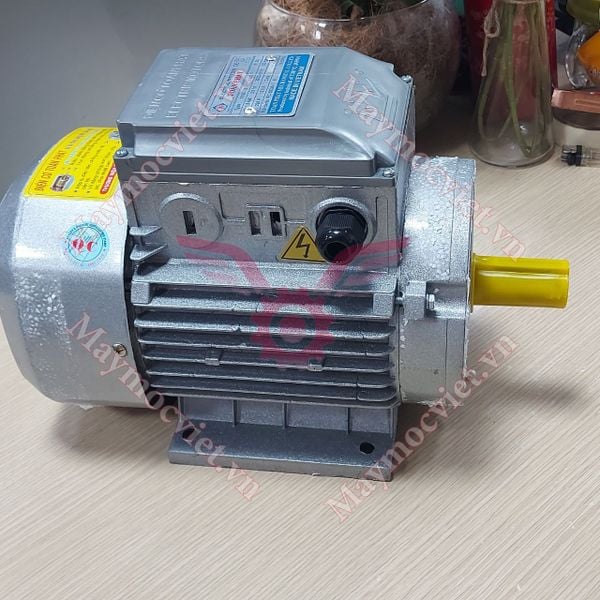 Động Cơ Điện Motor Toàn Phát 1.5 HP - 1.1 KW