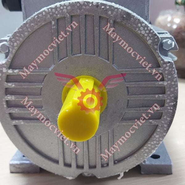 Động Cơ Điện Motor Toàn Phát 1.5 KW -2900v