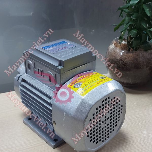 Động cơ điện Motor Toàn phát 2 HP - 1.5 KW - 1490v