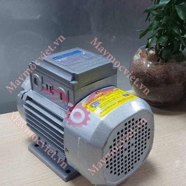 Động Cơ Điện Motor Toàn Phát 1.5 KW -2900v