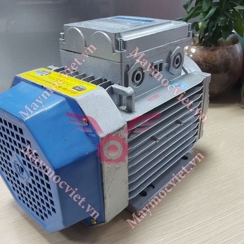 Động Cơ Điện Motor Toàn Phát 4 HP - 3kw -2900v