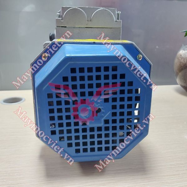 Động Cơ Điện Motor Toàn Phát 4 HP - 3kw -2900v