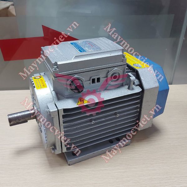 Động Cơ Điện Motor Toàn Phát 4 HP - 3kw -2900v