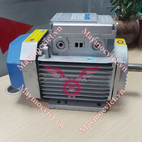 Động Cơ Điện Motor Toàn Phát 3 HP - 2.2 KW
