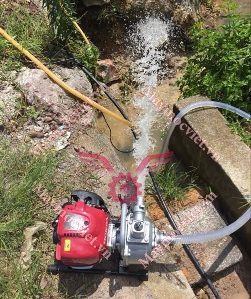 Máy bơm nước Honda WX10T D1 xách tay