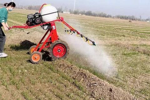 Máy phun thuốc đẩy tay dung tích 120L Turbo TBP120