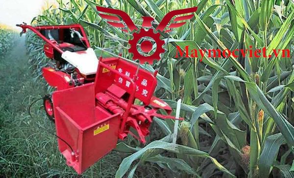 Máy thu hoạch ngô Oshima THB-1C