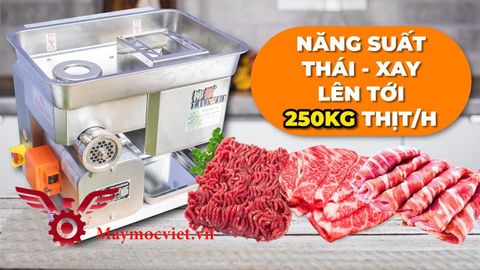 Máy thái thịt kết hợp xay đùn VM YJ22