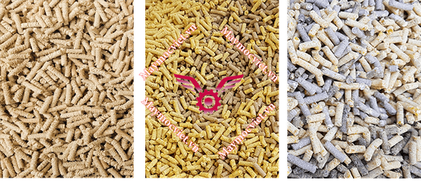 Máy ép cám viên tủ điện năng suất 150kg/ giờ S150-TĐ