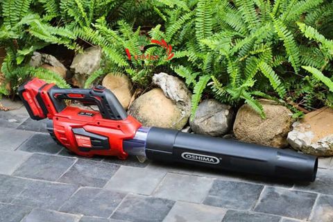Máy Thổi Lá, Thổi Bụi Dùng Pin Oshima TLP21V- 660M3/H-D1 Đã Có Pin Và Sạc