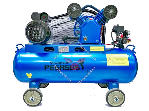 Máy nén khí công nghiệp Pegasus TM-V-0.17/8-180L