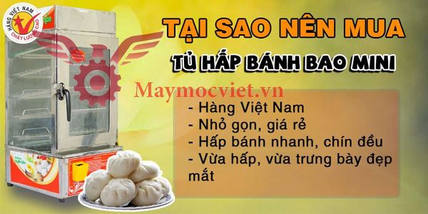 Tủ hấp bánh bao mini Việt Nam 4 tầng  VMBB04