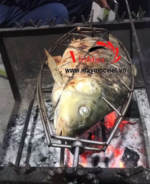 Vỉ nướng cá quả, cá chuối, cá rô phi