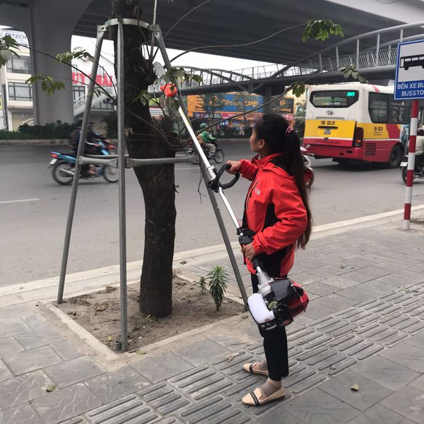 Máy cưa cắt cành trên cao Oshima OS330