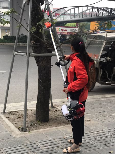 Máy cưa cắt cành trên cao Oshima OS330