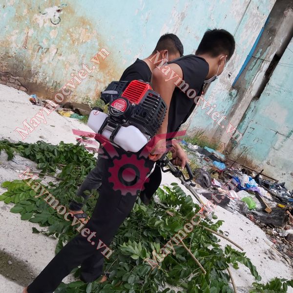 Máy cưa cắt cành trên cao Oshima OS330