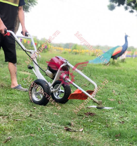 Máy cắt cỏ đẩy tay động cơ Turbo GX35