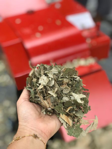 Máy băm dâu tằm, máy thái dâu tằm Vinmax VMD3000