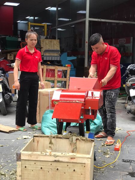 Máy băm dâu tằm, máy thái dâu tằm Vinmax VMD3000