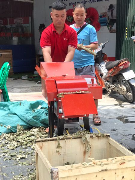 Máy băm dâu tằm, máy thái dâu tằm Vinmax VMD3000