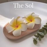  Kẹp Tóc Hàn Quốc Hoa Sứ 