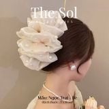  Kẹp Gắp Hàn Quốc Trendy Ngọc Trai 