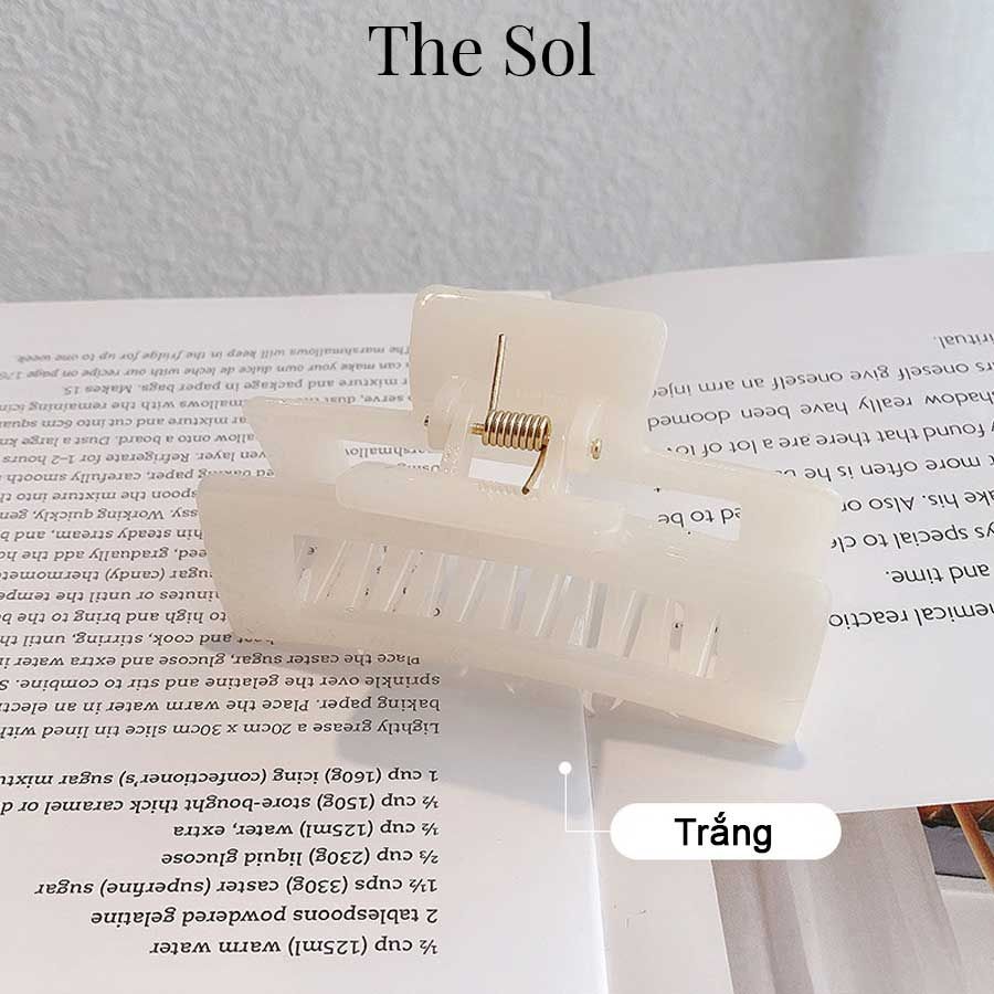  Kẹp Gắp Hàn Quốc Rectangle Acrylic 