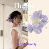  Kẹp Gắp Hàn Quốc Lily Flower 